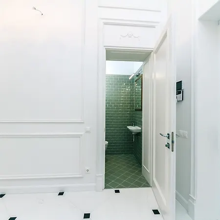 Vip Apartment Near Kreschatyk, 31А Pushkinska Street Kyiv Exterior photo